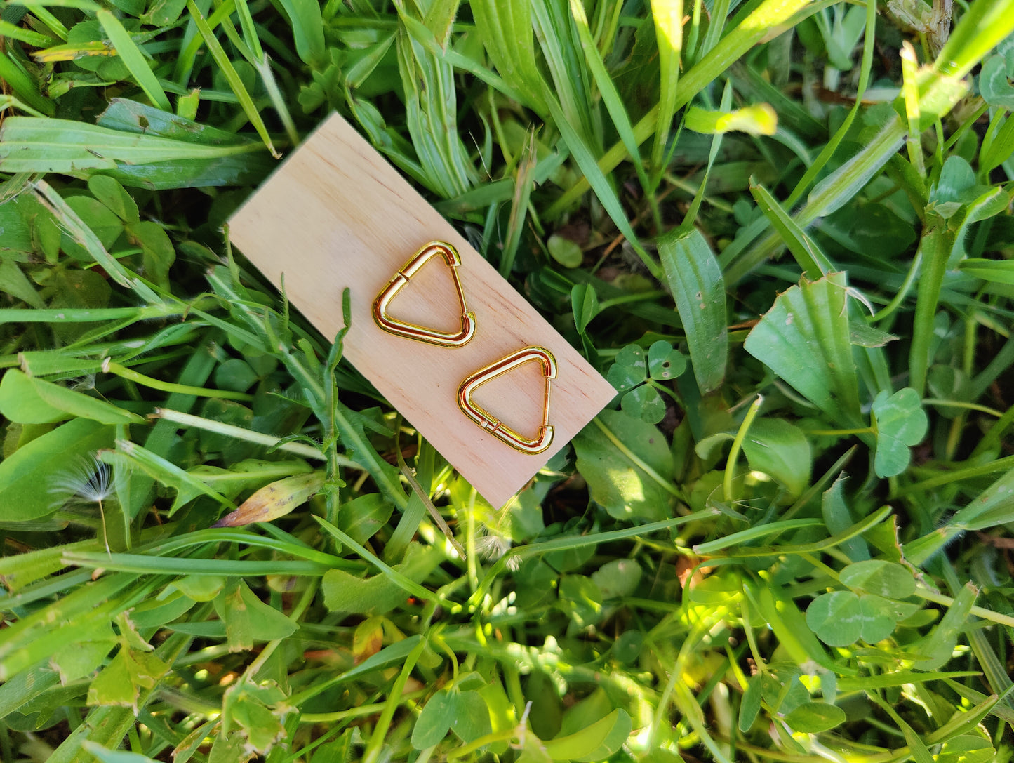 Créoles Procyon - dorées